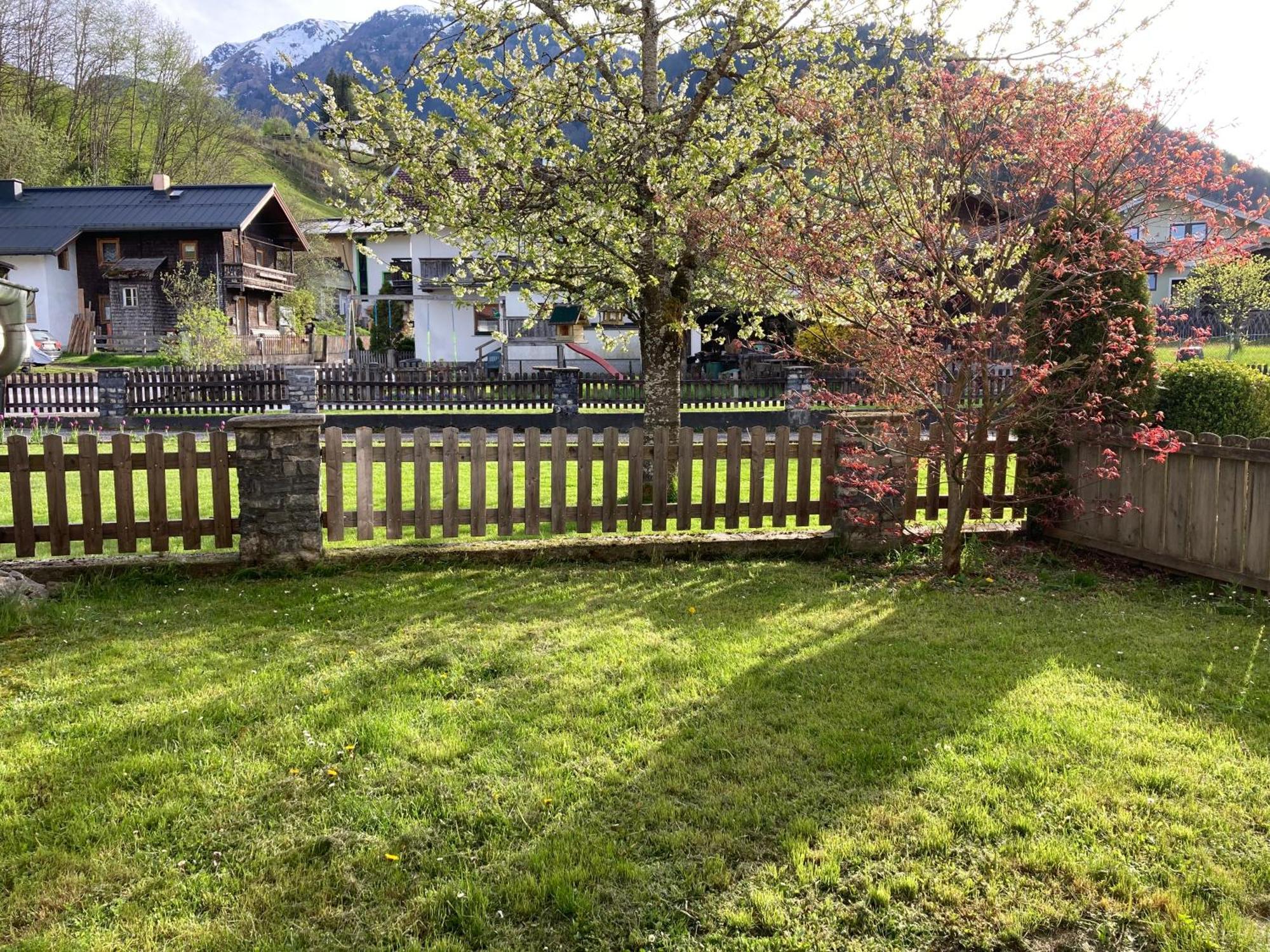 Appartement Stefanie Hollersbach im Pinzgau Ngoại thất bức ảnh